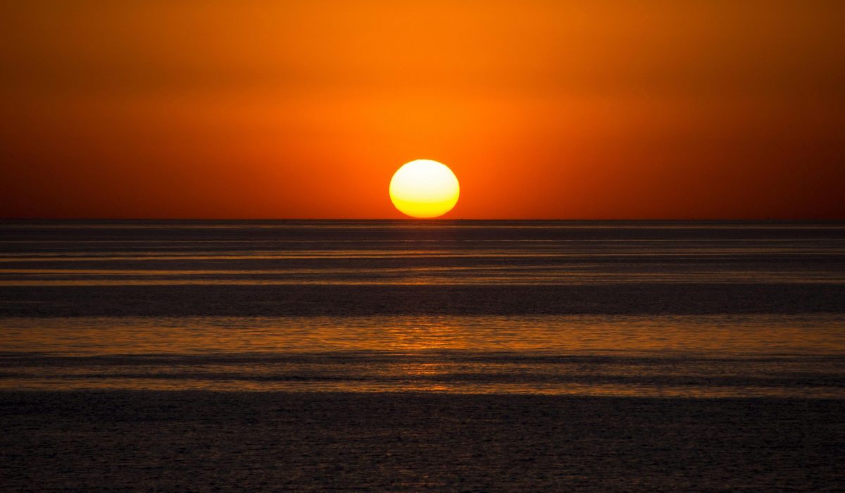 pexels-andre-ulysses-de-salis-2100065-3727276