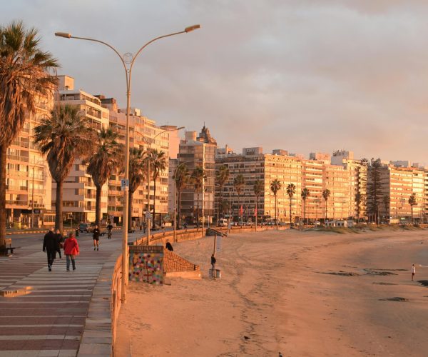 pexels-javier-rodriguez-weber-1144884534-22422359